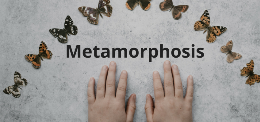 AGMS Metamorphosis Blog